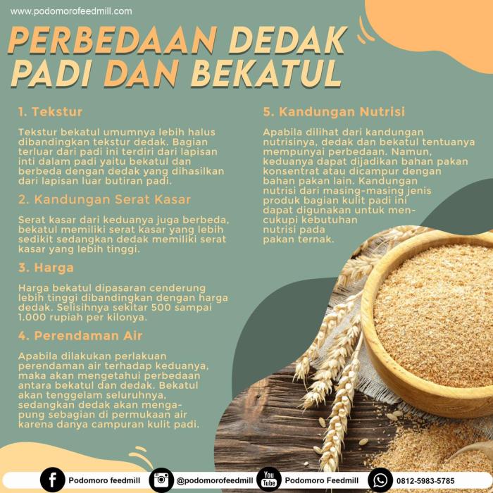 perbedaan dedak dan bekatul terbaru