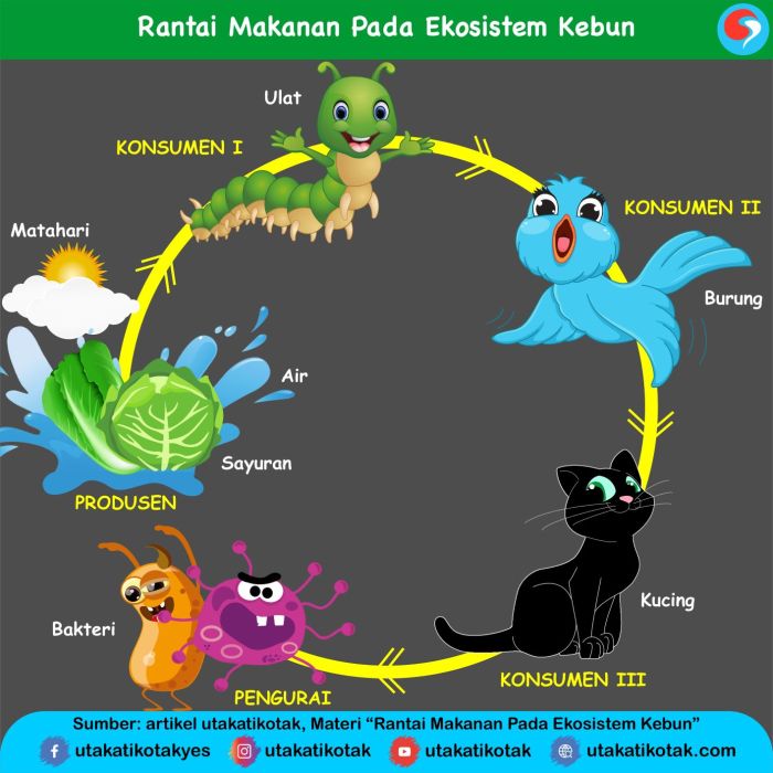 rantai ekosistem kebun danau sawah berbagai lengkap matahari penjelasannya interaksi beberapa hidup motherboard materiipa hewan isplbwiki makhluk antar sumber guna