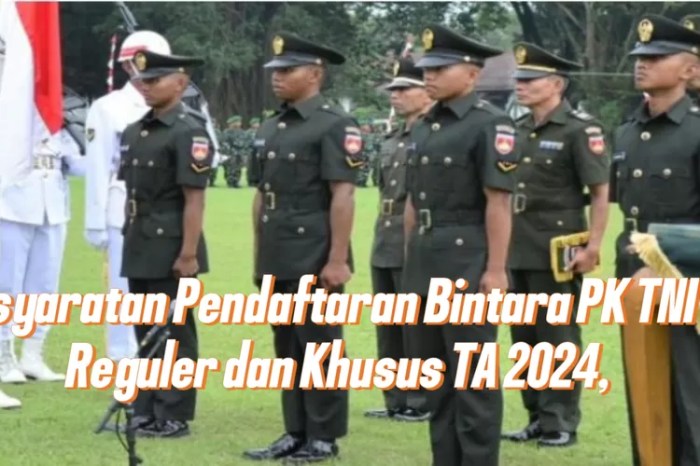 daftar riwayat hidup tni