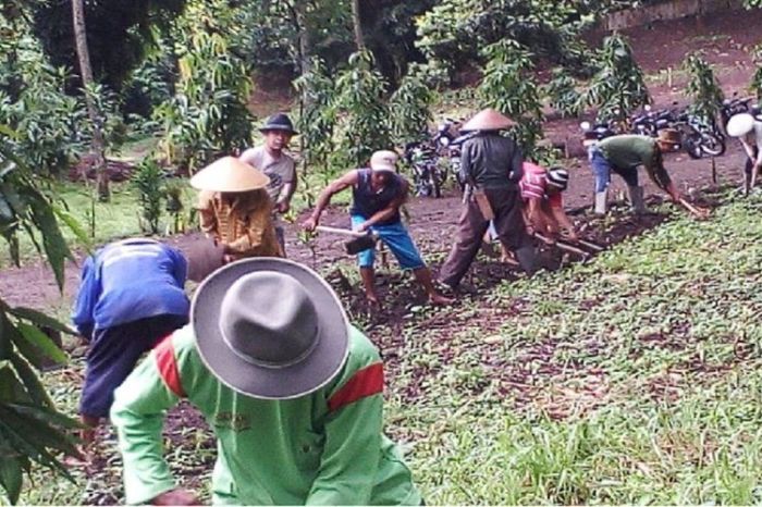 cerpen tentang gotong royong