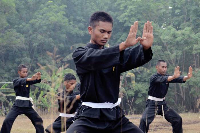 mengapa pencak silat perlu dilestarikan