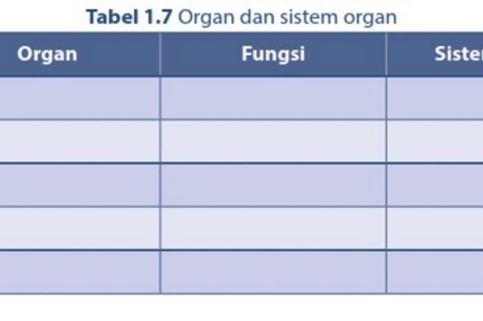 pemasukan sig tahapan