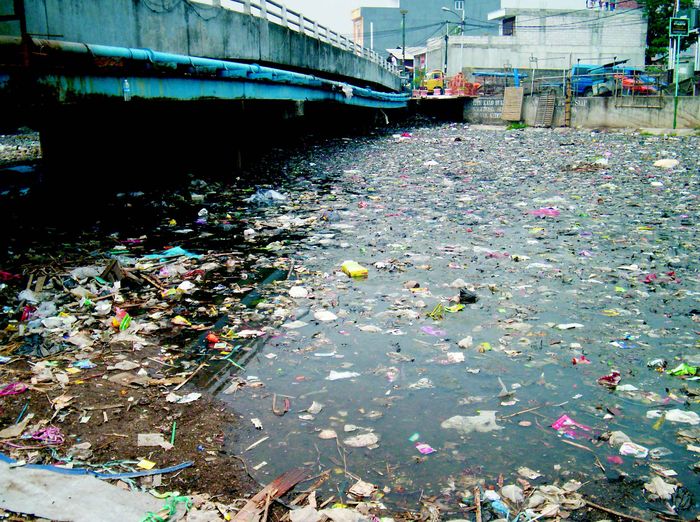 sampah membuang sungai buang orang sembarangan tempatnya jangan lingkungan sesuai sebaiknya kelompokkan jenisnya rumah animasi