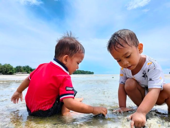 bagaimana cara membuat istana pasir tetes terbaru