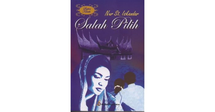 sinopsis novel salah pilih