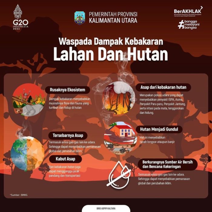 dialog tentang kebakaran hutan