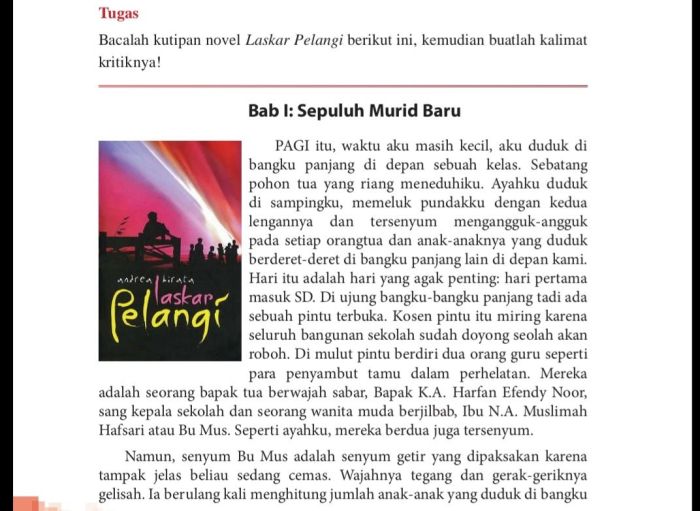 kritik sastra novel laskar pelangi terbaru