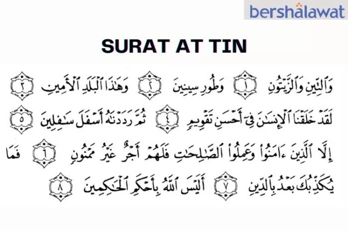 surat at tin dan artinya per ayat terbaru