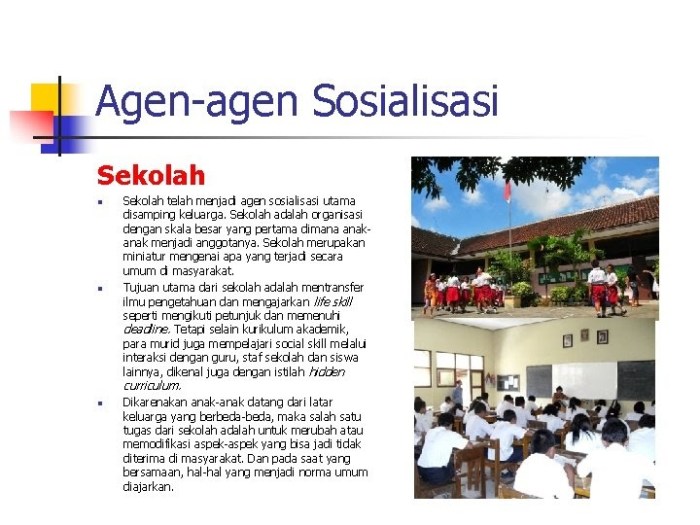 agen sosialisasi media massa terbaru