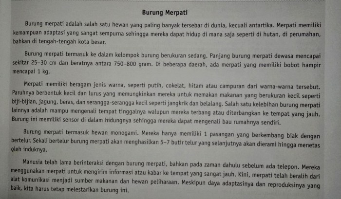 teks lho tentang lidah buaya