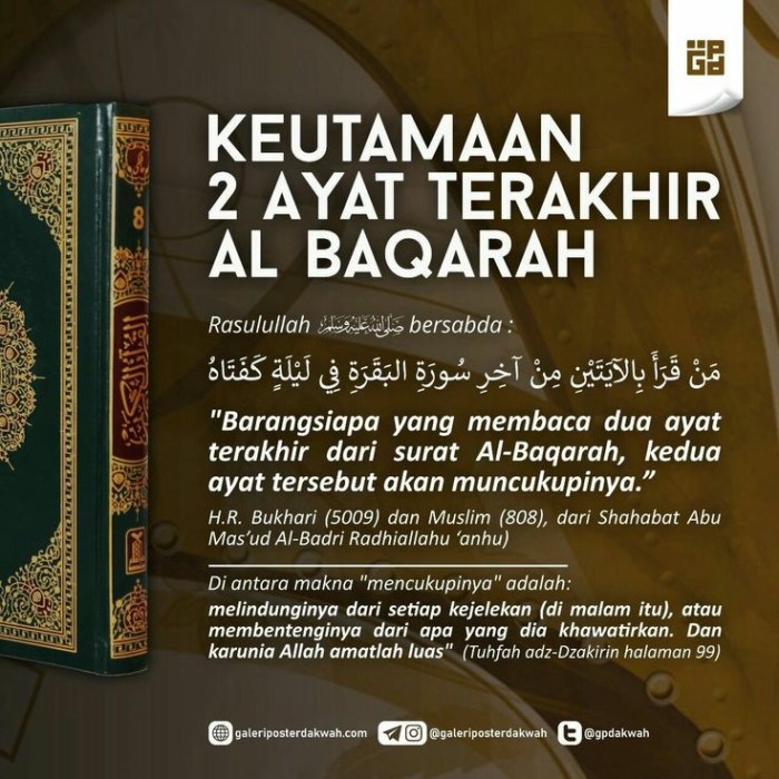 al baqarah ayat 11 sampai 20 terbaru