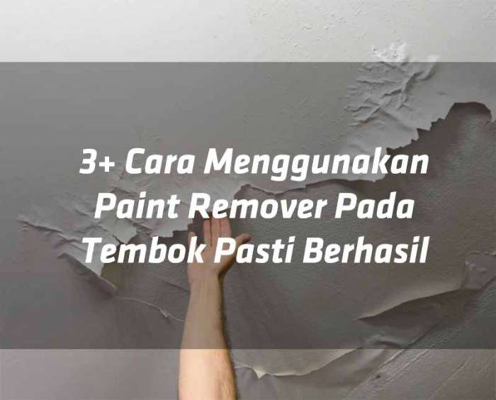 cara menggunakan paint remover terbaru