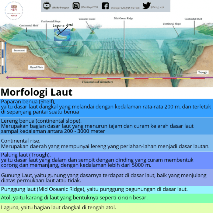 contoh soal morfologi dan jawabannya