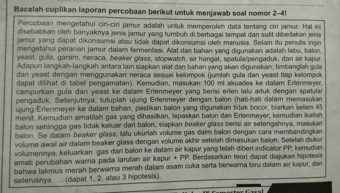 jantung struktur darah pembuluh arteri bilik peredaran manusia fungsi vena kanan berfungsi kapiler kiri serambi memompa peran serta tubuh inspirasi