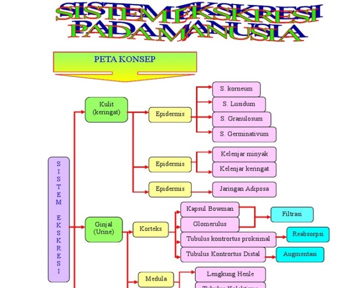 peta konsep sistem pembayaran