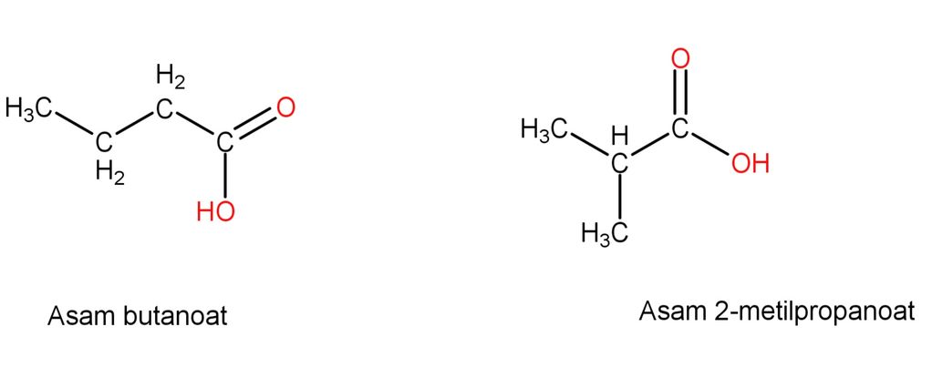 asam 2 3 dimetil butanoat