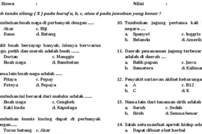 soal mulok dan kunci jawaban sd kelas 5