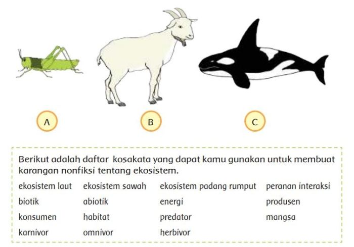 cerita deskripsi tentang hewan