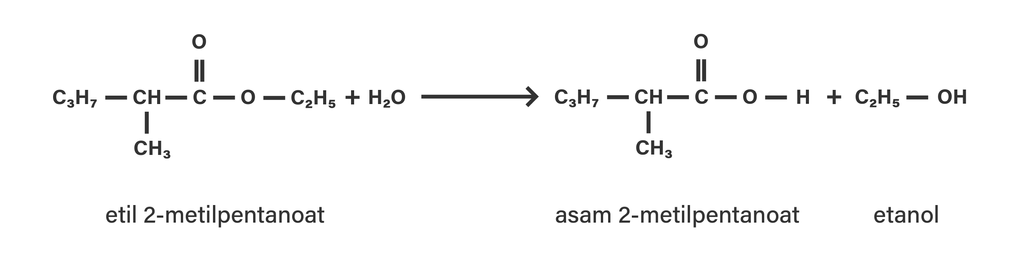 asam 2 etil 2 metil pentanoat