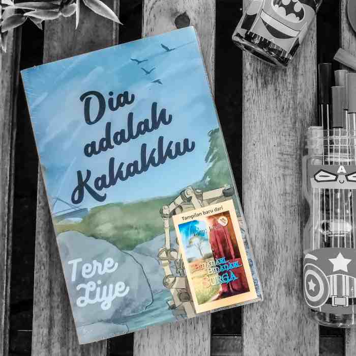 resensi novel dia adalah kakakku