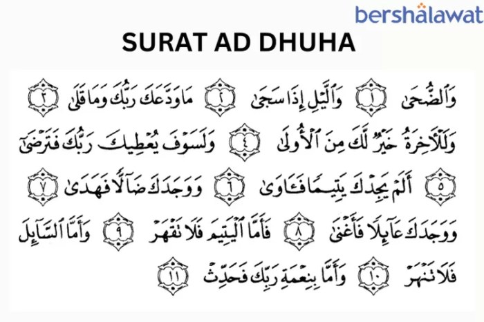 surat ad dhuha beserta tajwidnya