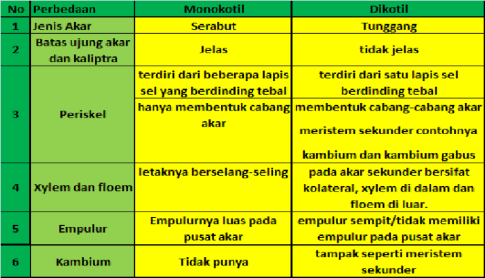 tabel perbedaan dikotil dan monokotil