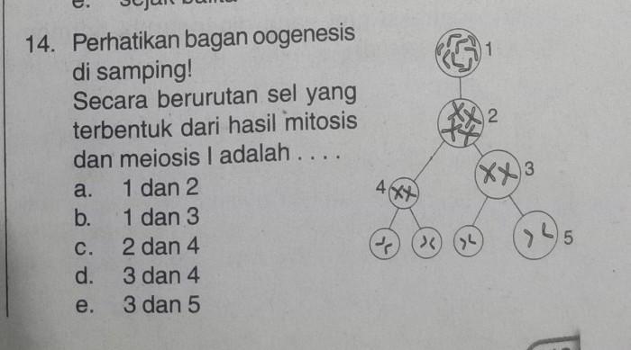 Pernyataan yang benar tentang materi adalah