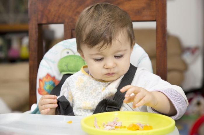 pola makan bayi usia 8 9 bulan adalah terbaru