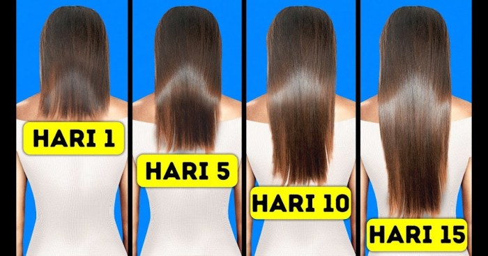 cara rambut cepat panjang dalam 1 minggu