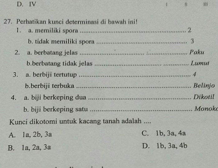 tanah kunci kacang adalah determinasi urutan tumbuhan