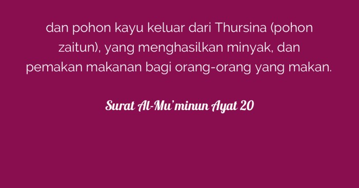 qs al mu minun ayat 12 14