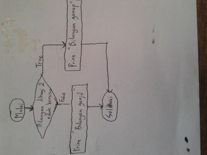 flowchart bilangan genap 1 100