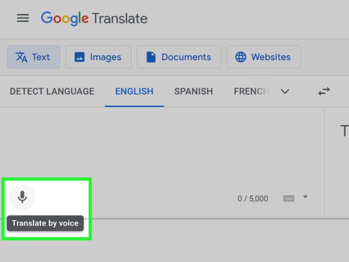 What is the purpose of the text translate