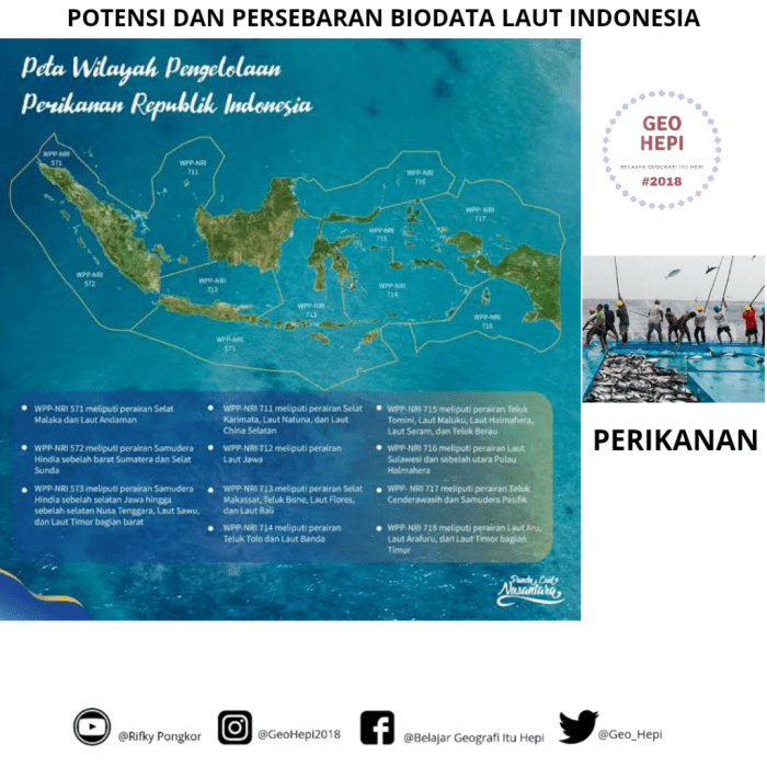 persebaran dan pemanfaatan biota laut terbaru