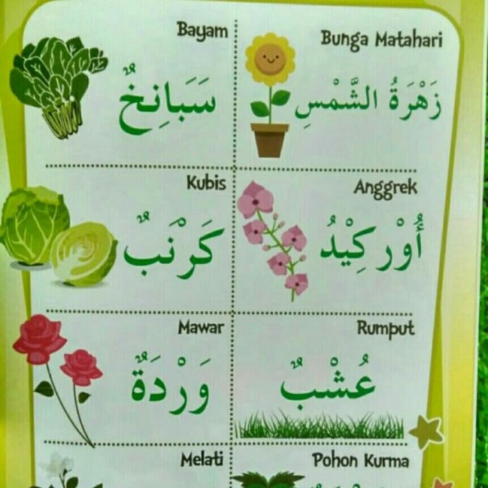 bahasa arabnya pohon kelapa