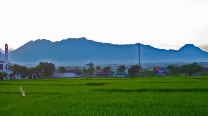 tidur gunung putri malang