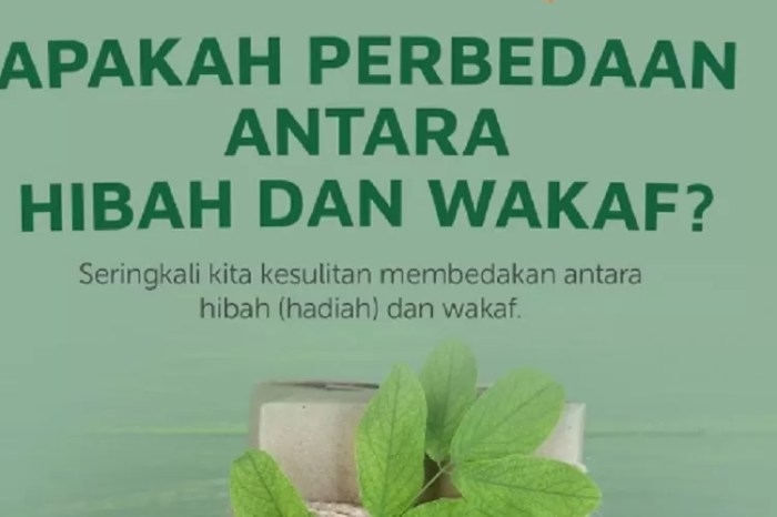 perbedaan hibah dan wakaf