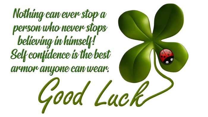 luck good wishing wish desicomments entries