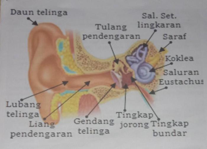 suara didengar nelpon tidak telepon penerima