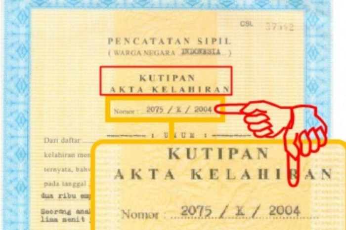 nomor registrasi akta kelahiran terbaru