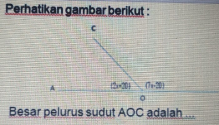 besar pelurus aoc adalah