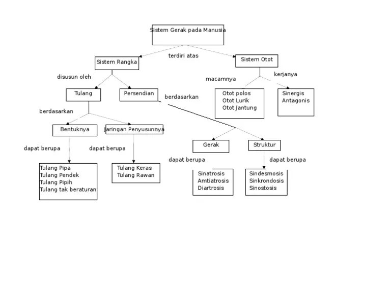peta konsep sistem gerak pada manusia
