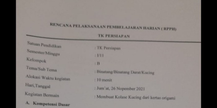 berkepala binatang mempunyai kepala kura dipertontonkan rourke smh