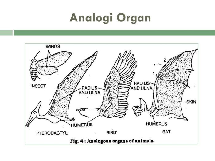 jelaskan analogi fisik dari internet