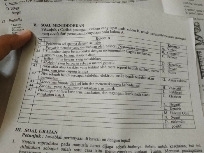 contoh soal menjodohkan gambar untuk sd terbaru