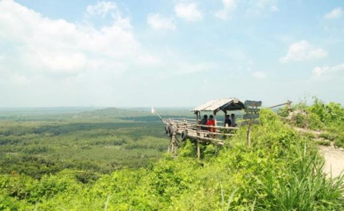 wisata akar langit trinil