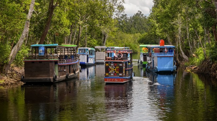 tanjung puting national park text terbaru