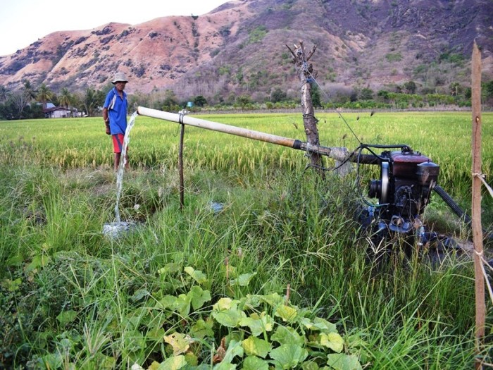 sawah 1 kotak berapa meter terbaru