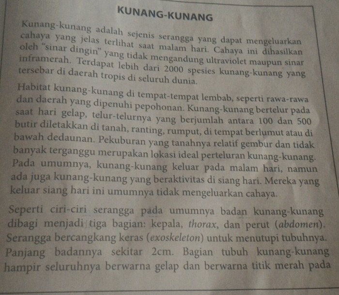 Teks laporan hasil observasi kunang kunang