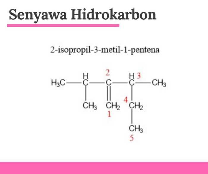 hidrokarbon soal senyawa